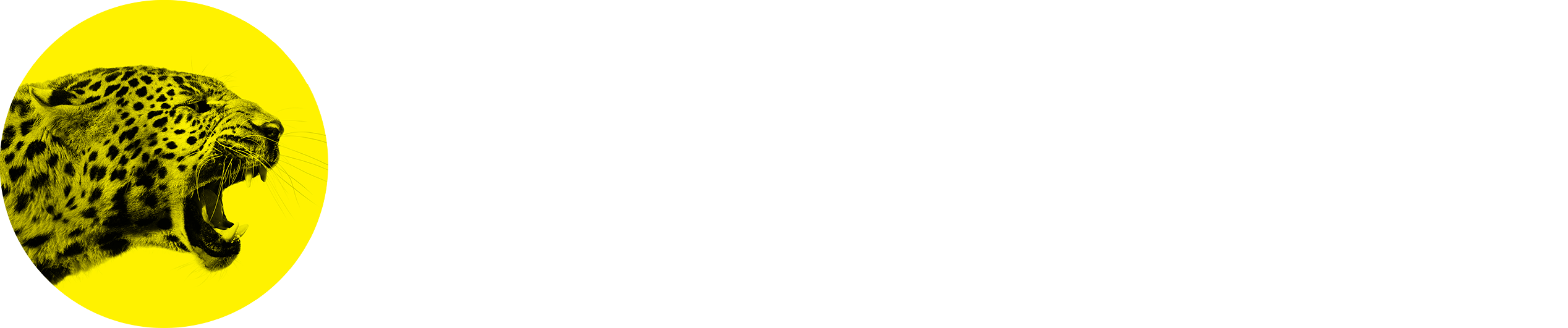 LFF LOGO PARDO RGB weiss